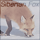 Last edited by Siberian Fox on